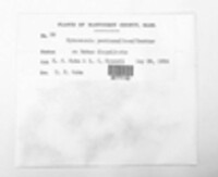 Image Associated With the Occurence